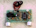 Movement Detector II Kit